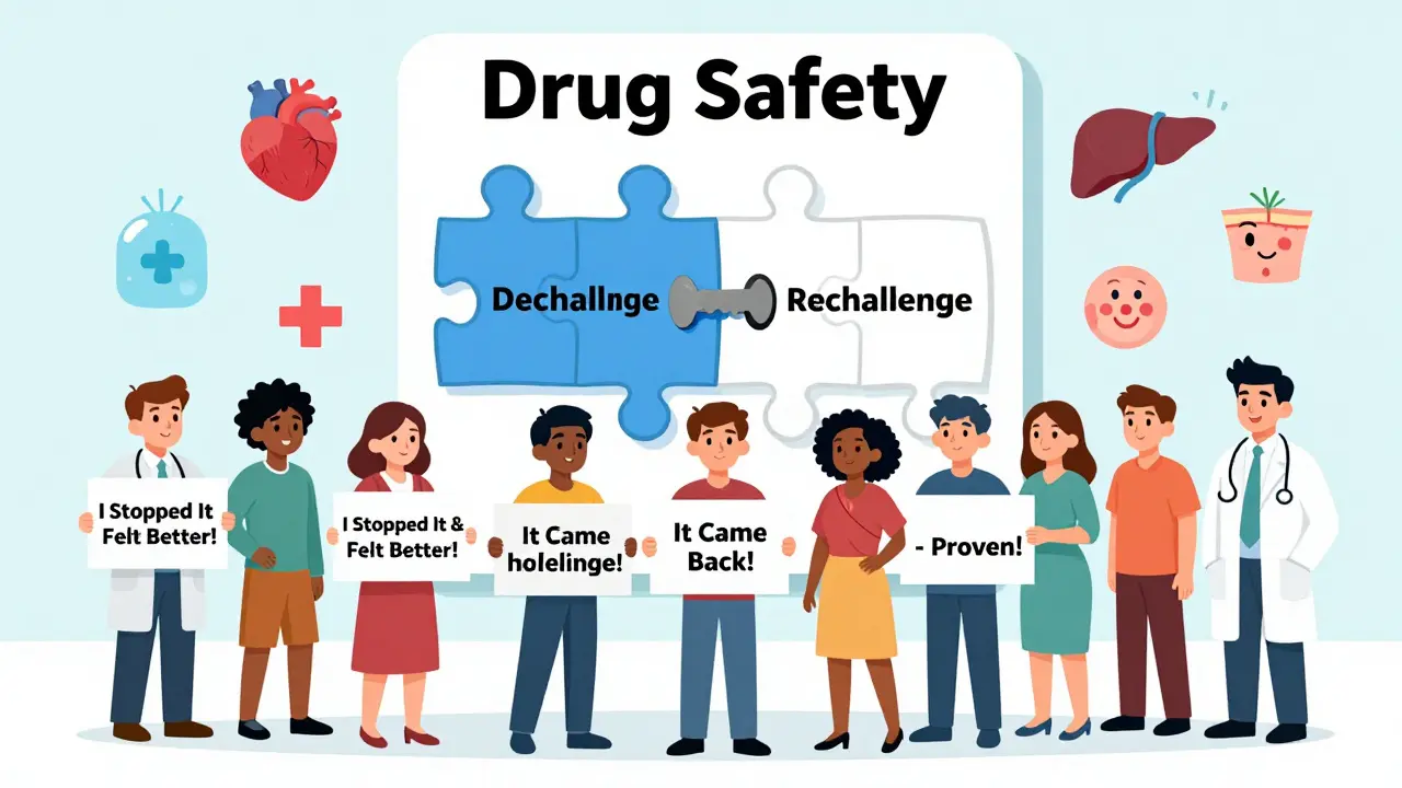 Diverse patients celebrating with signs about dechallenge and rechallenge, fitting puzzle pieces into a drug safety framework.